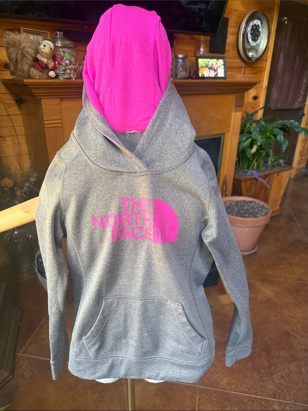 The North Face Kids Gray Hoodie with Bright Pink Hood and Logo